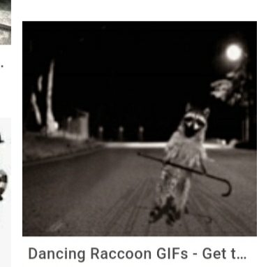 Screenshot_20210309-084827_Chrome