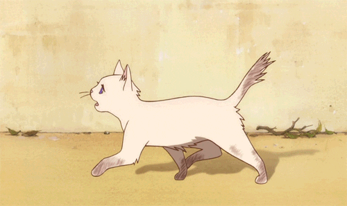 The Cat Returns GIFS (SPOILERS WARNING!!) | Studio Ghibli Amino