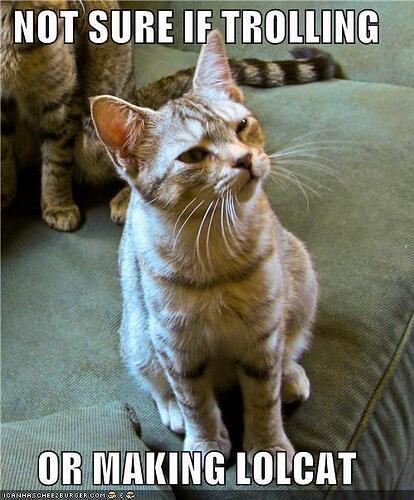 trollcat.jpg
