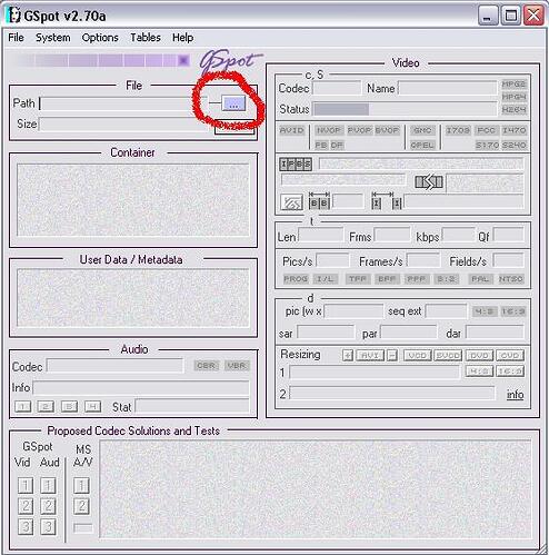 382i8C7FC5FEA20EEAE5