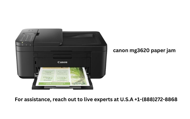 How to Fix a Paper Jam in Canon MG3620 Printer OffTopic Discussions