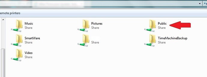 WD My Cloud Public Share