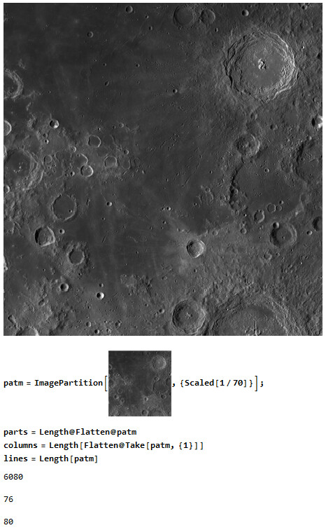 pic15.jpg