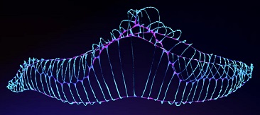 WolframUniversemodel17935000gen.jpg
