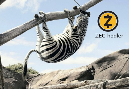 zebra-hodler